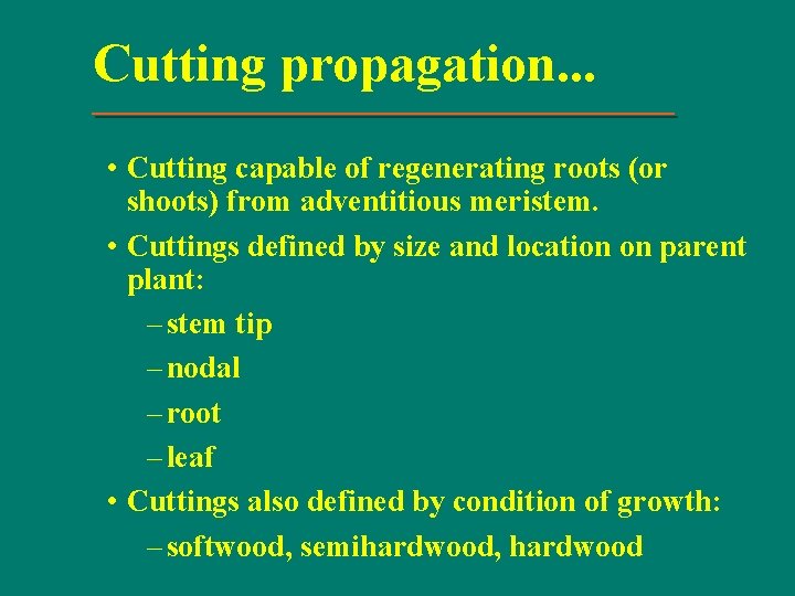Cutting propagation. . . • Cutting capable of regenerating roots (or shoots) from adventitious