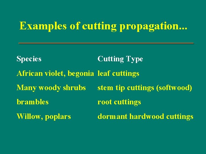 Examples of cutting propagation. . . Species Cutting Type African violet, begonia leaf cuttings