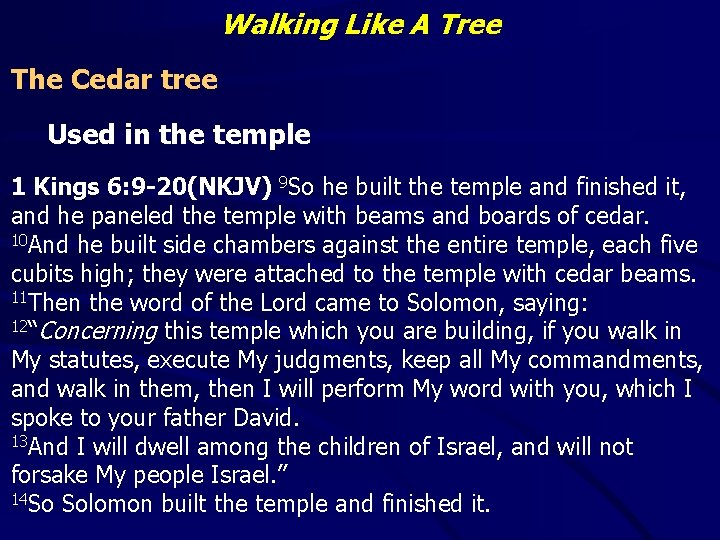 Walking Like A Tree The Cedar tree Used in the temple 1 Kings 6: