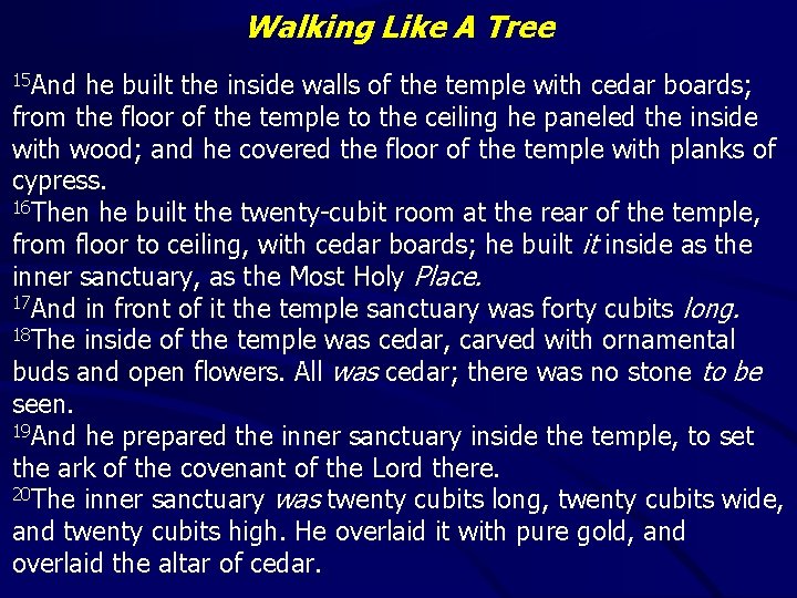 Walking Like A Tree 15 And he built the inside walls of the temple