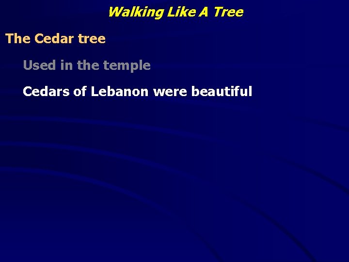 Walking Like A Tree The Cedar tree Used in the temple Cedars of Lebanon