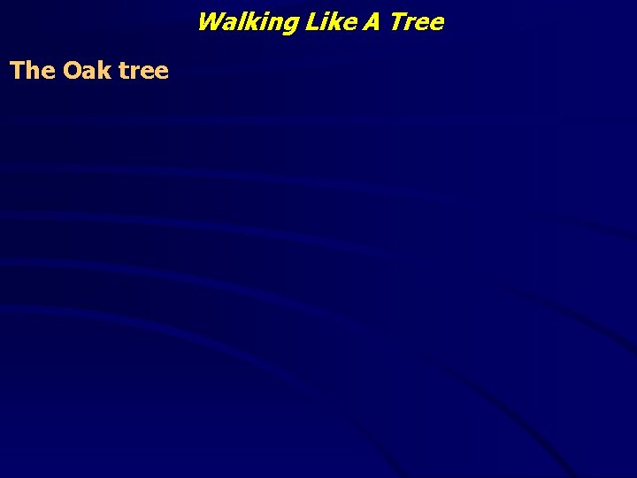 Walking Like A Tree The Oak tree 