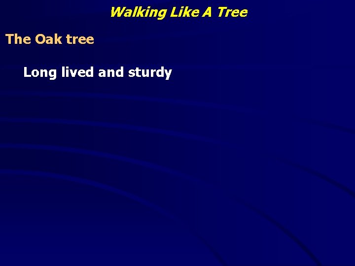 Walking Like A Tree The Oak tree Long lived and sturdy 