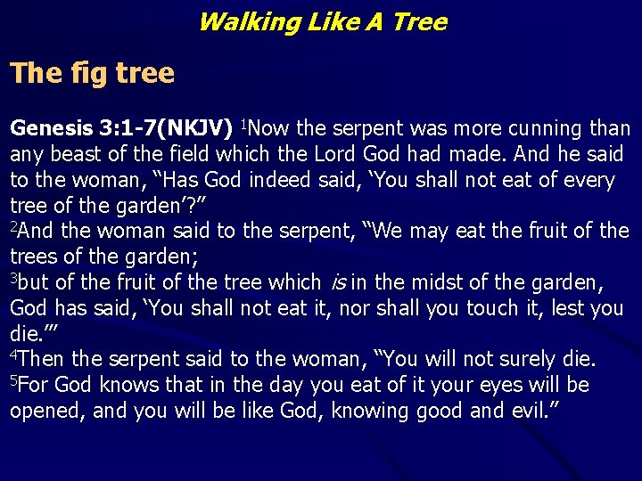 Walking Like A Tree The fig tree Genesis 3: 1 -7(NKJV) 1 Now the