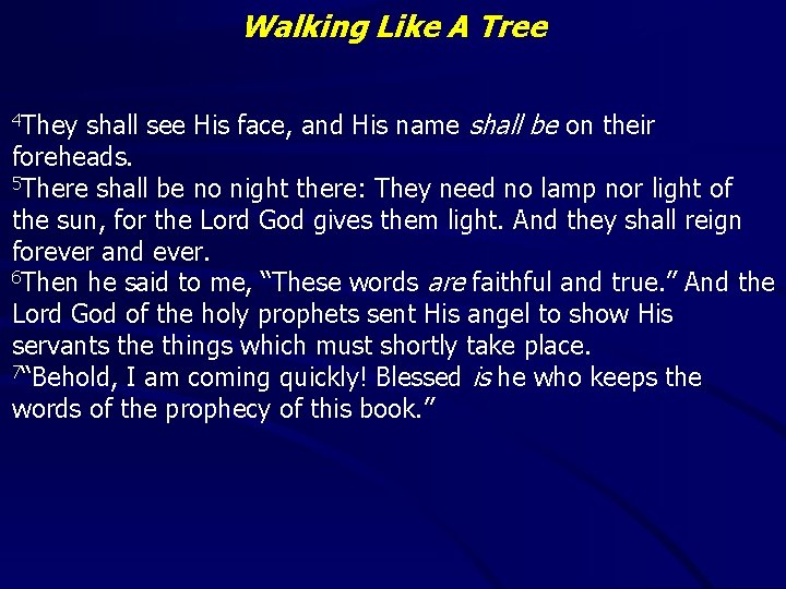 Walking Like A Tree shall see His face, and His name shall be on