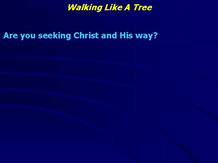 Walking Like A Tree Are you seeking Christ and His way? 