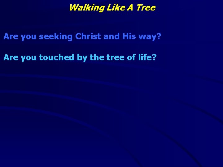 Walking Like A Tree Are you seeking Christ and His way? Are you touched