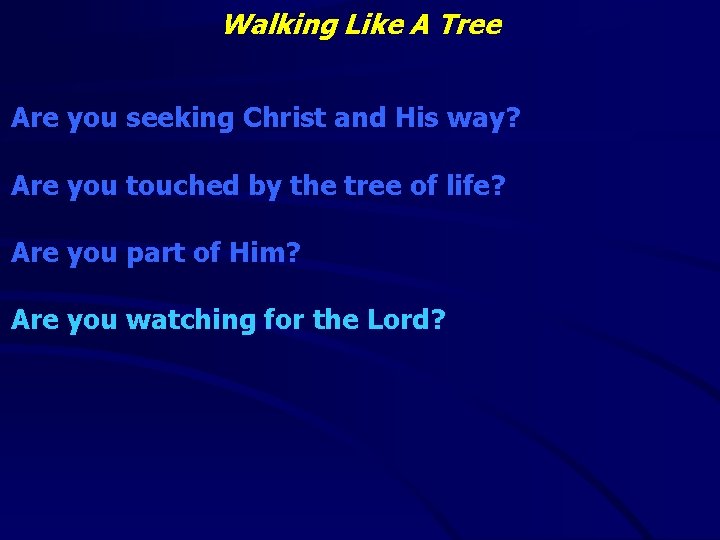Walking Like A Tree Are you seeking Christ and His way? Are you touched