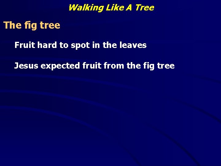 Walking Like A Tree The fig tree Fruit hard to spot in the leaves