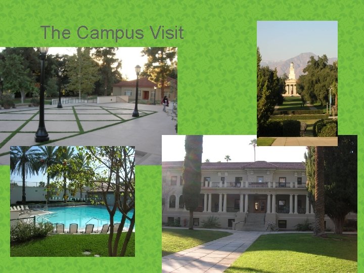 The Campus Visit 