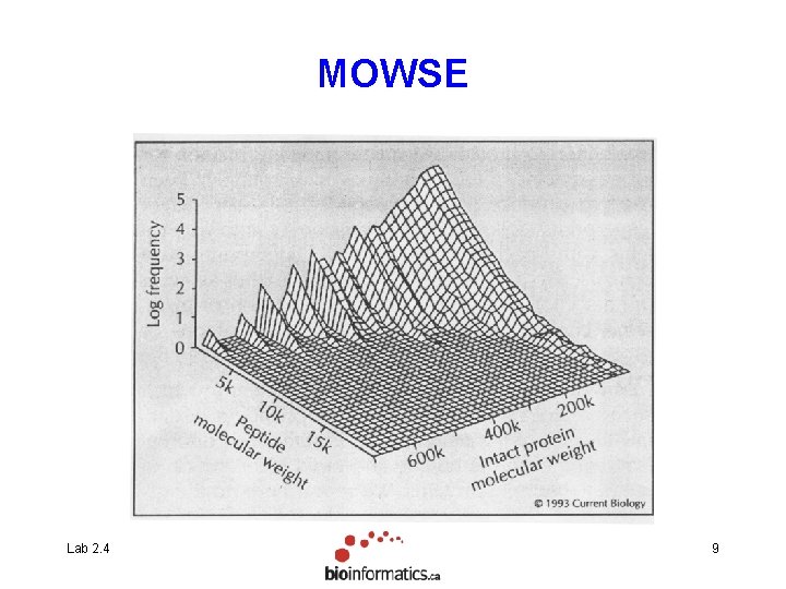 MOWSE Lab 2. 4 9 