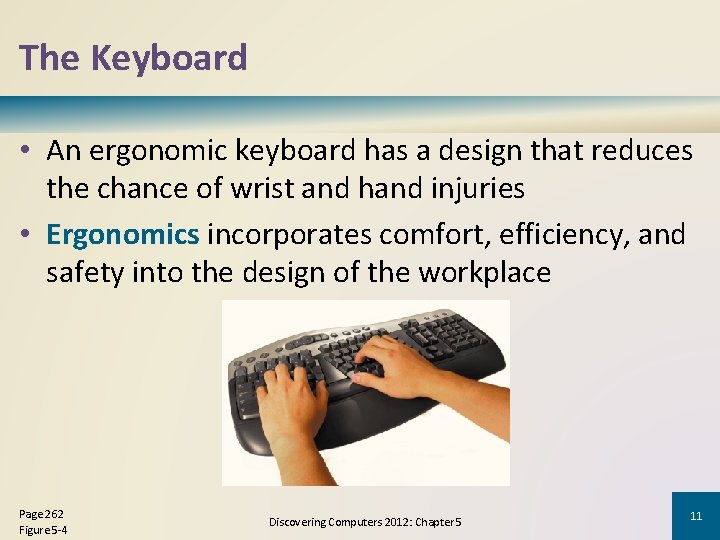 The Keyboard • An ergonomic keyboard has a design that reduces the chance of