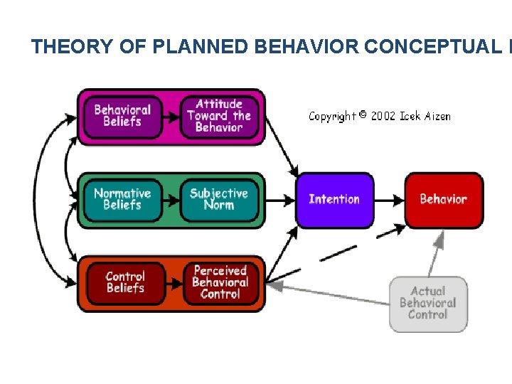 THEORY OF PLANNED BEHAVIOR CONCEPTUAL M 