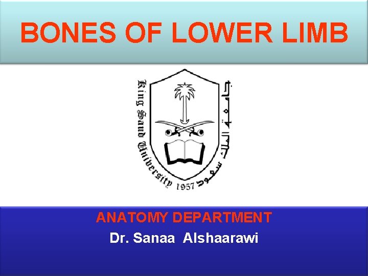 BONES OF LOWER LIMB ANATOMY DEPARTMENT Dr. Sanaa Alshaarawi 