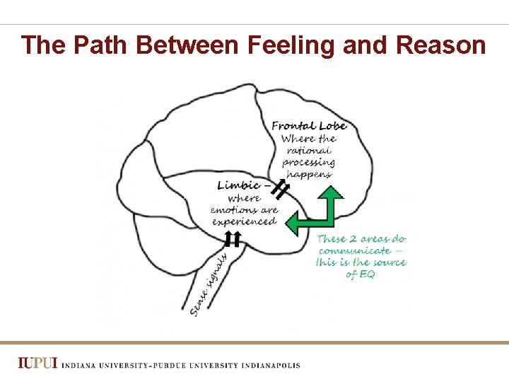 The Path Between Feeling and Reason 