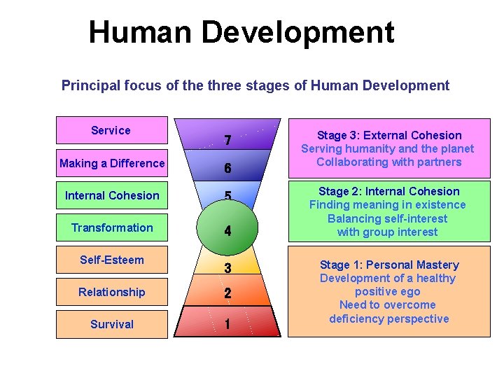Human Development Principal focus of the three stages of Human Development Service 7 Making