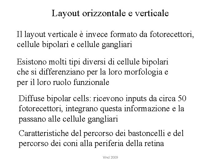 Layout orizzontale e verticale Il layout verticale è invece formato da fotorecettori, cellule bipolari