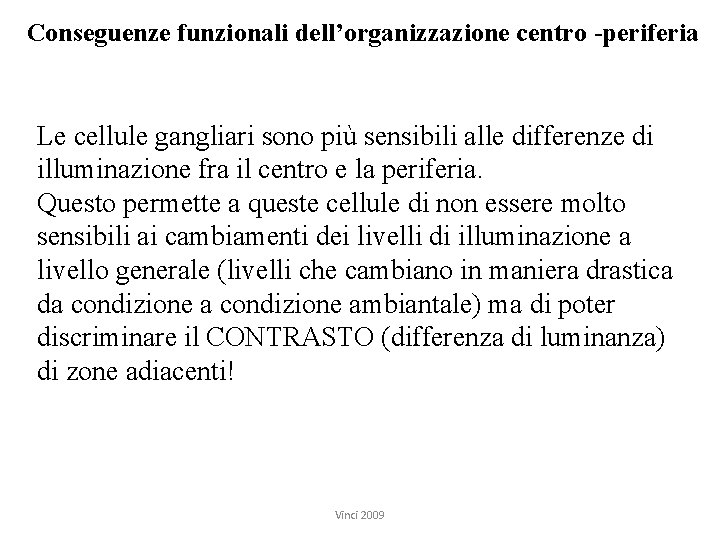 Conseguenze funzionali dell’organizzazione centro -periferia Le cellule gangliari sono più sensibili alle differenze di