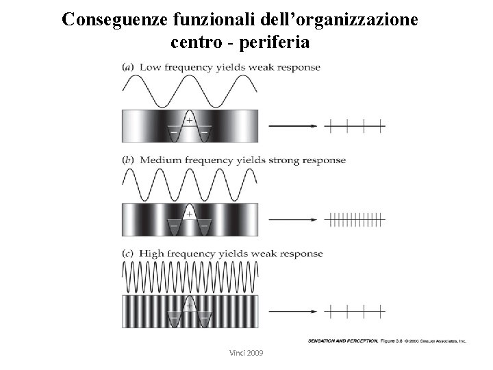 Conseguenze funzionali dell’organizzazione centro - periferia Vinci 2009 