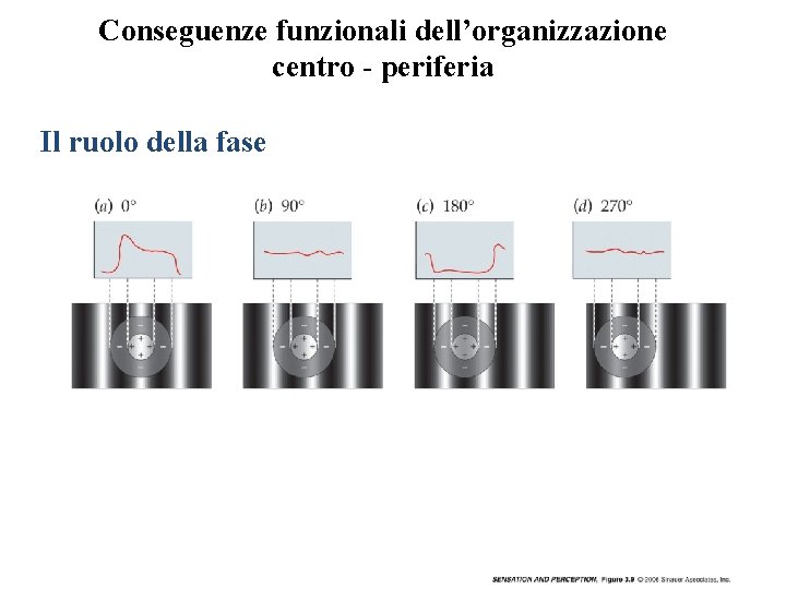 Conseguenze funzionali dell’organizzazione centro - periferia Il ruolo della fase Vinci 2009 