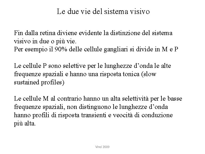 Le due vie del sistema visivo Fin dalla retina diviene evidente la distinzione del