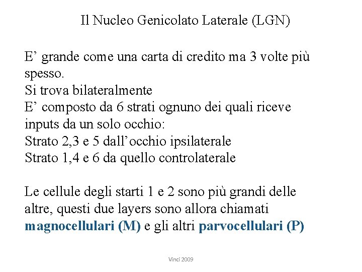 Il Nucleo Genicolato Laterale (LGN) E’ grande come una carta di credito ma 3