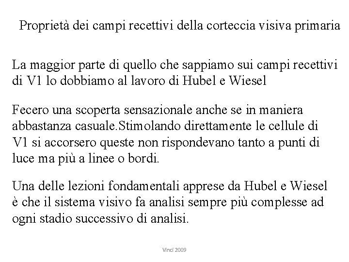 Proprietà dei campi recettivi della corteccia visiva primaria La maggior parte di quello che