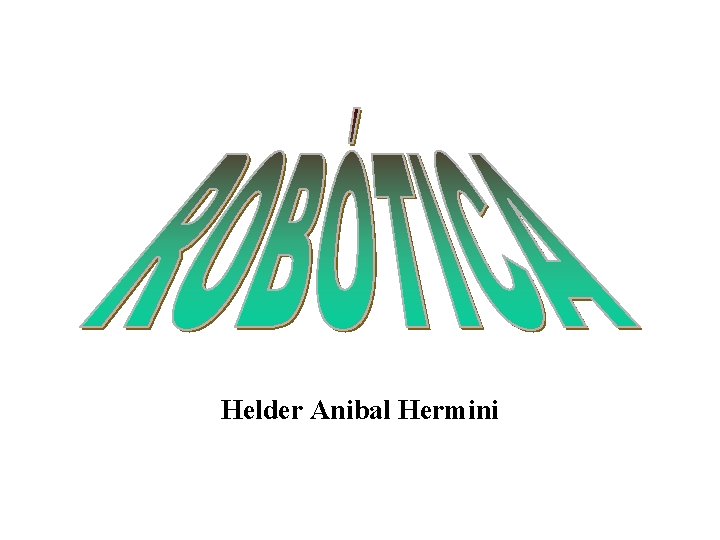Helder Anibal Hermini 