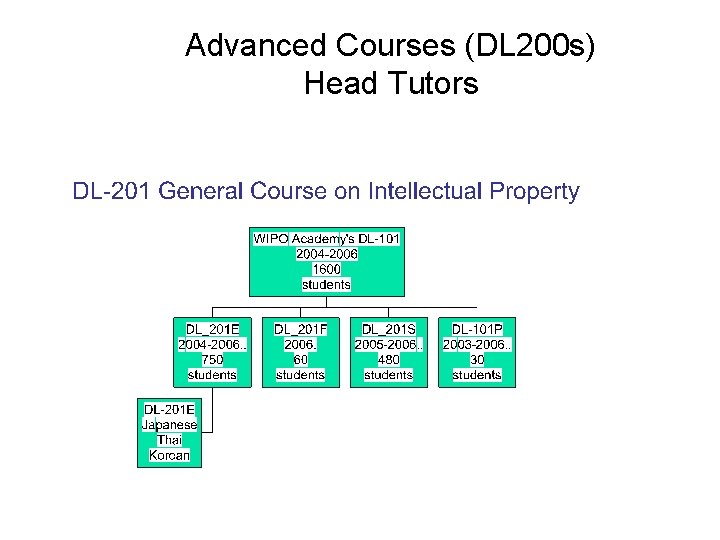 Advanced Courses (DL 200 s) Head Tutors 