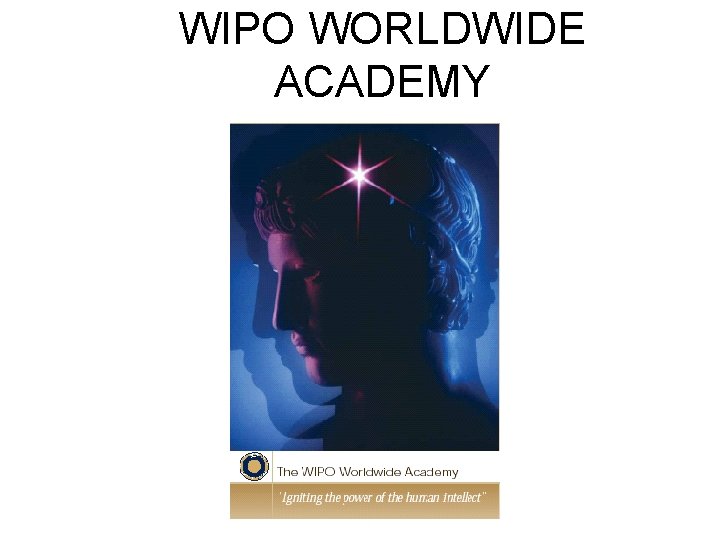 WIPO WORLDWIDE ACADEMY 