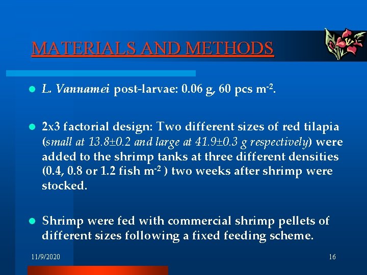 MATERIALS AND METHODS l L. Vannamei post-larvae: 0. 06 g, 60 pcs m-2. l MATERIALS AND METHODS l L. Vannamei post-larvae: 0. 06 g, 60 pcs m-2. l