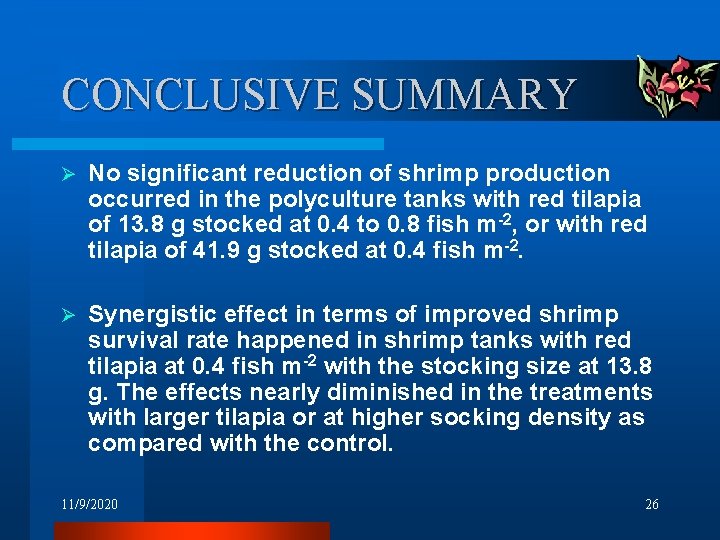 CONCLUSIVE SUMMARY Ø No significant reduction of shrimp production occurred in the polyculture tanks CONCLUSIVE SUMMARY Ø No significant reduction of shrimp production occurred in the polyculture tanks