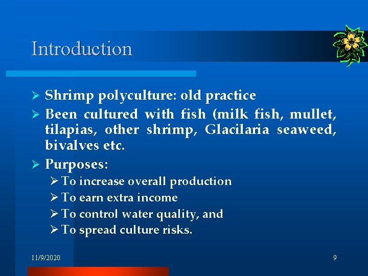 Introduction Shrimp polyculture: old practice Ø Been cultured with fish (milk fish, mullet, tilapias, Introduction Shrimp polyculture: old practice Ø Been cultured with fish (milk fish, mullet, tilapias,