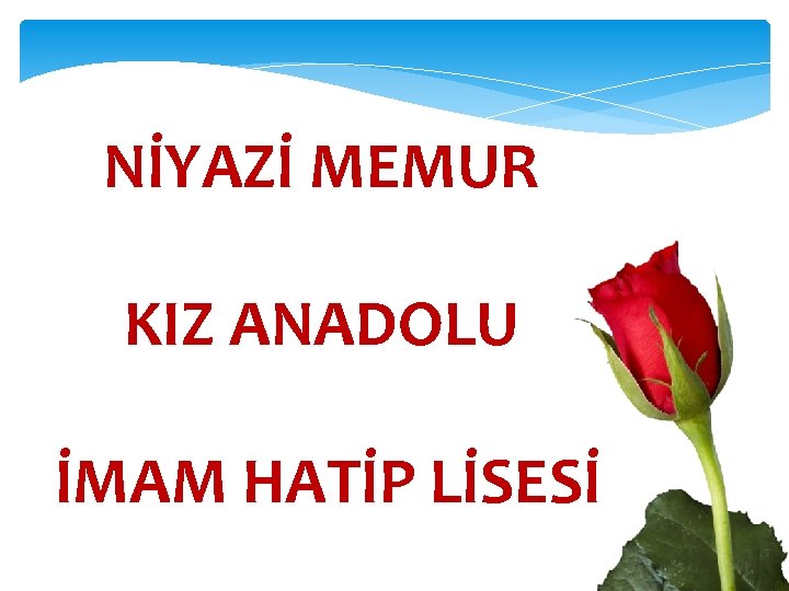 NİYAZİ MEMUR KIZ ANADOLU İMAM HATİP LİSESİ 