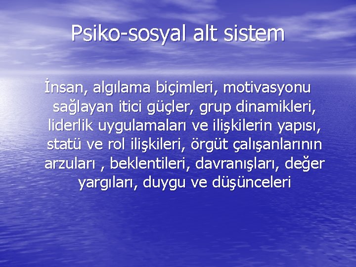 Psiko-sosyal alt sistem İnsan, algılama biçimleri, motivasyonu sağlayan itici güçler, grup dinamikleri, liderlik uygulamaları