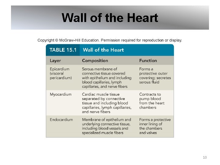 Wall of the Heart 10 