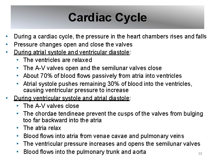 Cardiac Cycle • During a cardiac cycle, the pressure in the heart chambers rises