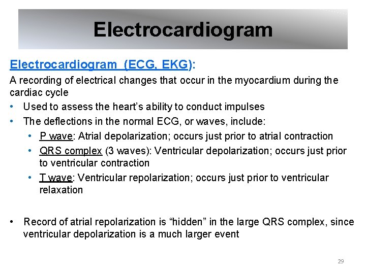 Electrocardiogram (ECG, EKG): A recording of electrical changes that occur in the myocardium during