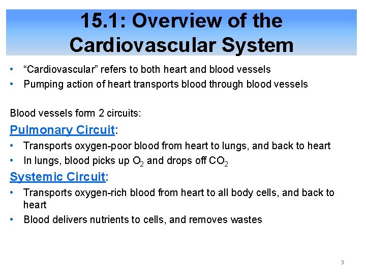 15. 1: Overview of the Cardiovascular System • “Cardiovascular” refers to both heart and