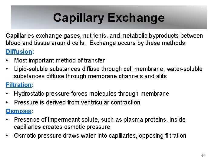 Capillary Exchange Capillaries exchange gases, nutrients, and metabolic byproducts between blood and tissue around