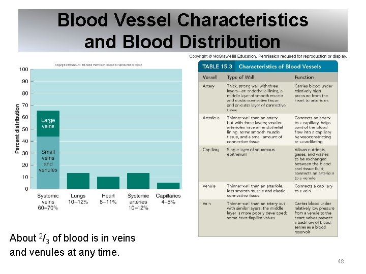 Blood Vessel Characteristics and Blood Distribution About 2/3 of blood is in veins and