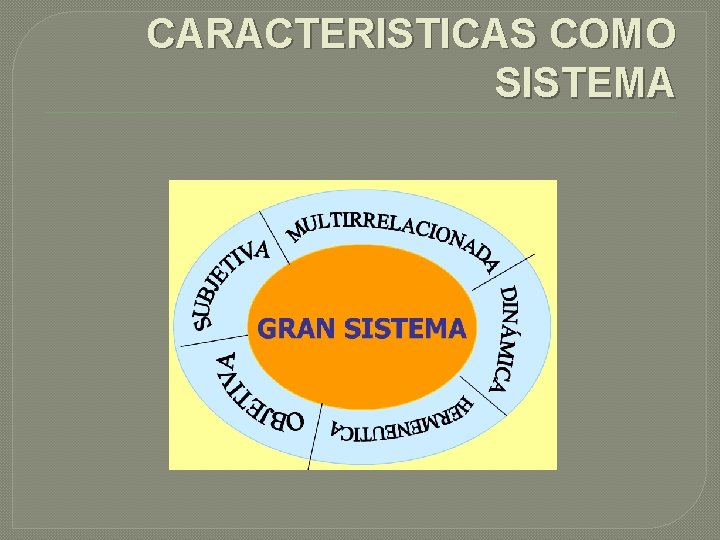 CARACTERISTICAS COMO SISTEMA 