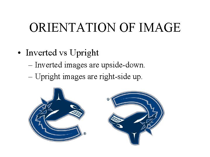 ORIENTATION OF IMAGE • Inverted vs Upright – Inverted images are upside-down. – Upright