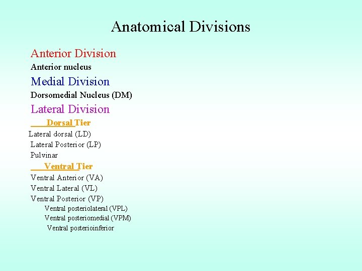 Anatomical Divisions Anterior Division Anterior nucleus Medial Division Dorsomedial Nucleus (DM) Lateral Division Dorsal