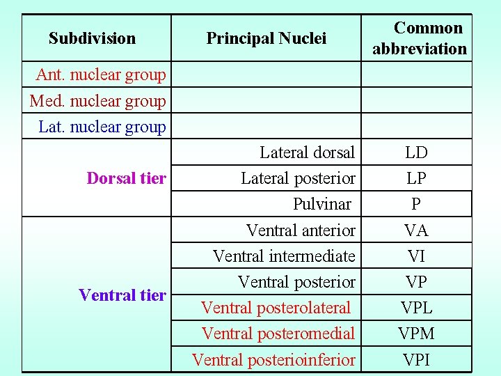 Subdivision Principal Nuclei Common abbreviation Ant. nuclear group Med. nuclear group Lat. nuclear group