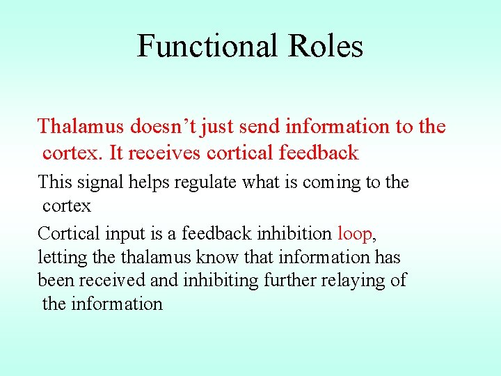 Functional Roles Thalamus doesn’t just send information to the cortex. It receives cortical feedback