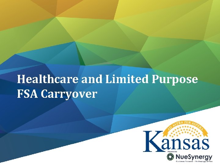 Healthcare and Limited Purpose FSA Carryover 