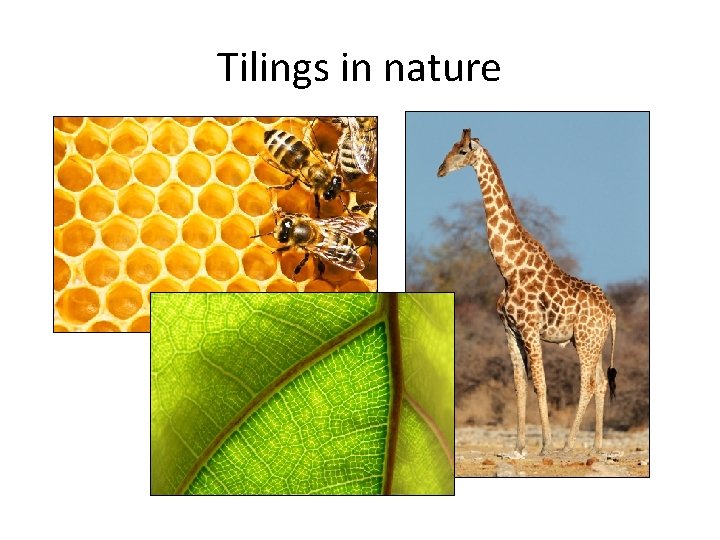 Tilings in nature 