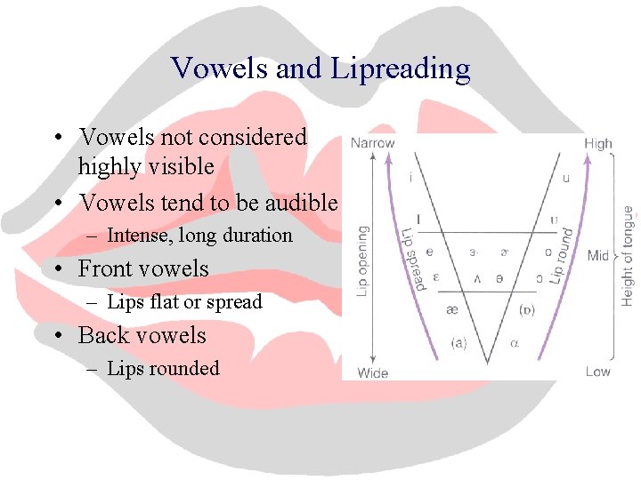 Vowels and Lipreading • Vowels not considered highly visible • Vowels tend to be