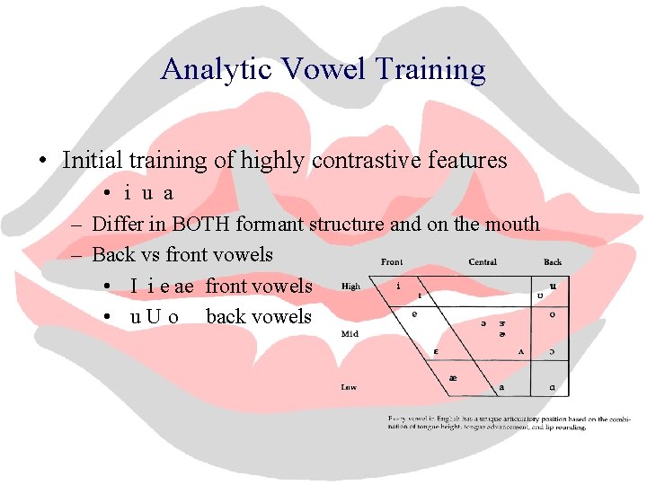 Analytic Vowel Training • Initial training of highly contrastive features • i u a